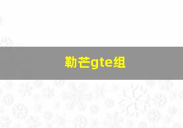 勒芒gte组