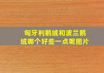 匈牙利鹅绒和波兰鹅绒哪个好些一点呢图片