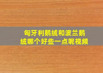 匈牙利鹅绒和波兰鹅绒哪个好些一点呢视频