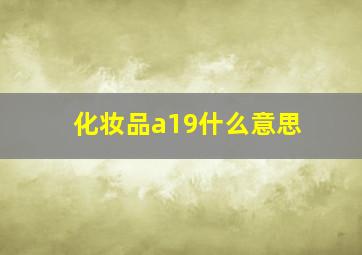 化妆品a19什么意思