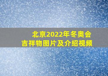 北京2022年冬奥会吉祥物图片及介绍视频