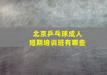 北京乒乓球成人短期培训班有哪些