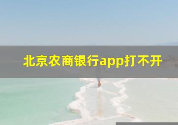 北京农商银行app打不开