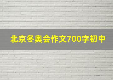 北京冬奥会作文700字初中