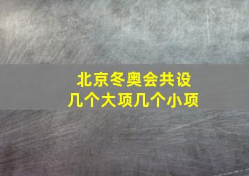 北京冬奥会共设几个大项几个小项