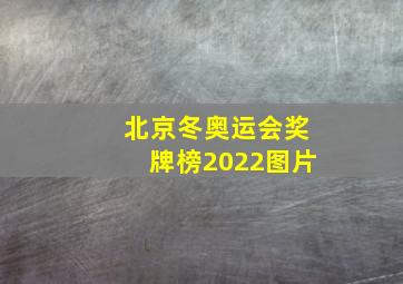 北京冬奥运会奖牌榜2022图片