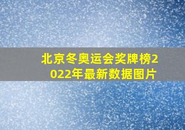 北京冬奥运会奖牌榜2022年最新数据图片