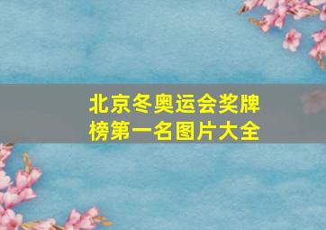 北京冬奥运会奖牌榜第一名图片大全