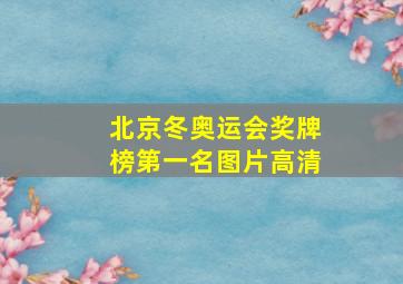 北京冬奥运会奖牌榜第一名图片高清