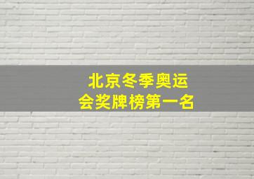 北京冬季奥运会奖牌榜第一名