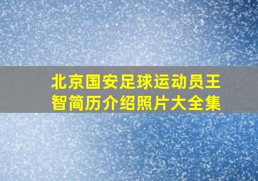 北京国安足球运动员王智简历介绍照片大全集