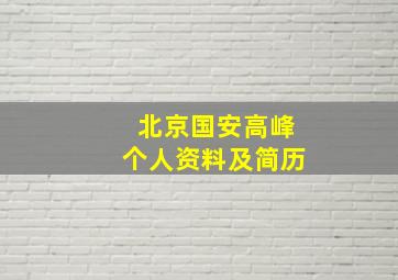 北京国安高峰个人资料及简历