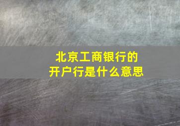 北京工商银行的开户行是什么意思