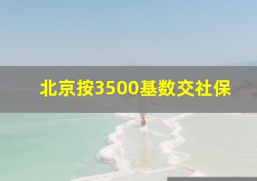 北京按3500基数交社保