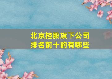 北京控股旗下公司排名前十的有哪些