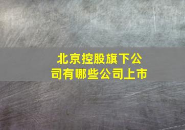 北京控股旗下公司有哪些公司上市