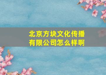 北京方块文化传播有限公司怎么样啊