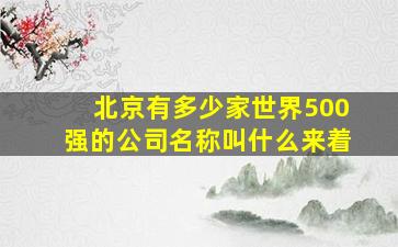 北京有多少家世界500强的公司名称叫什么来着