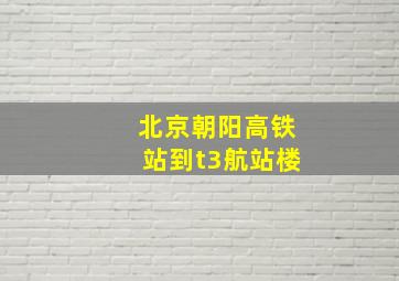 北京朝阳高铁站到t3航站楼