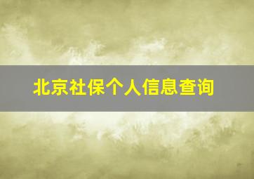 北京社保个人信息查询