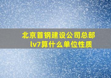 北京首钢建设公司总部lv7算什么单位性质