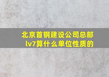 北京首钢建设公司总部lv7算什么单位性质的