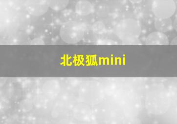 北极狐mini