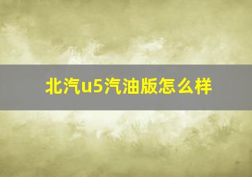 北汽u5汽油版怎么样