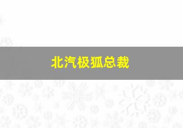 北汽极狐总裁