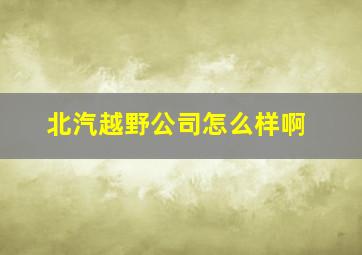 北汽越野公司怎么样啊