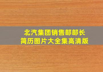 北汽集团销售部部长简历图片大全集高清版