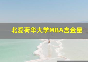 北爱荷华大学MBA含金量