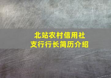 北站农村信用社支行行长简历介绍