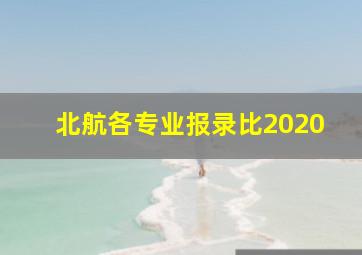 北航各专业报录比2020