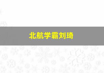 北航学霸刘琦