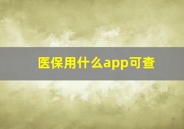 医保用什么app可查