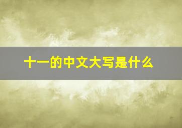 十一的中文大写是什么