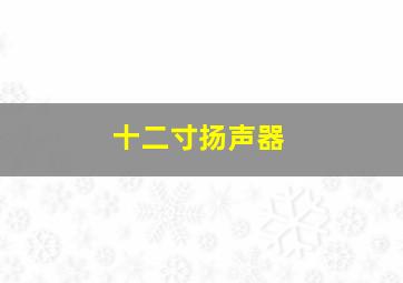 十二寸扬声器