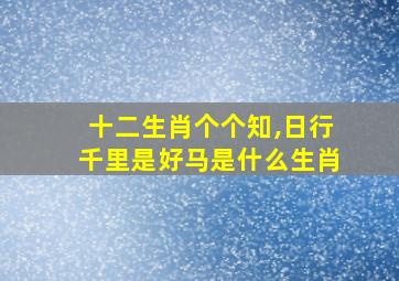 十二生肖个个知,日行千里是好马是什么生肖