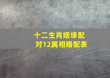 十二生肖姻缘配对12属相婚配表