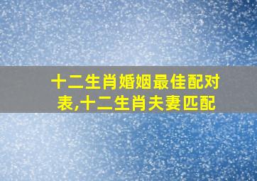 十二生肖婚姻最佳配对表,十二生肖夫妻匹配