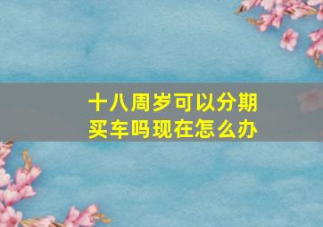 十八周岁可以分期买车吗现在怎么办