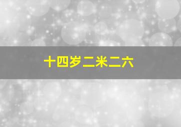 十四岁二米二六