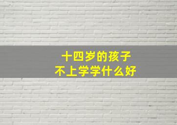 十四岁的孩子不上学学什么好