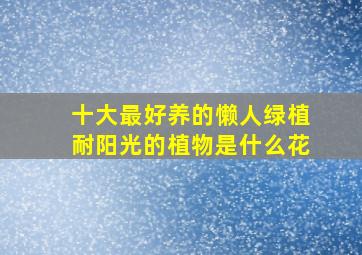 十大最好养的懒人绿植耐阳光的植物是什么花