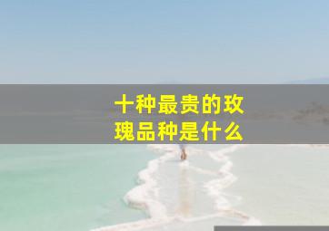 十种最贵的玫瑰品种是什么