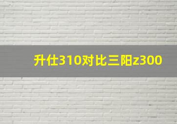 升仕310对比三阳z300