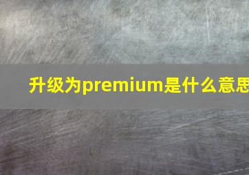 升级为premium是什么意思