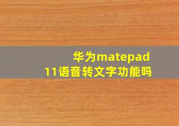 华为matepad11语音转文字功能吗