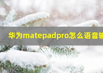 华为matepadpro怎么语音输入